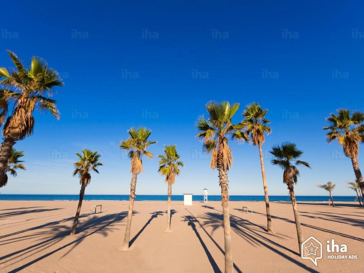 Apartamento Con Piscina Y Parking Apartment Gandia Bagian luar foto